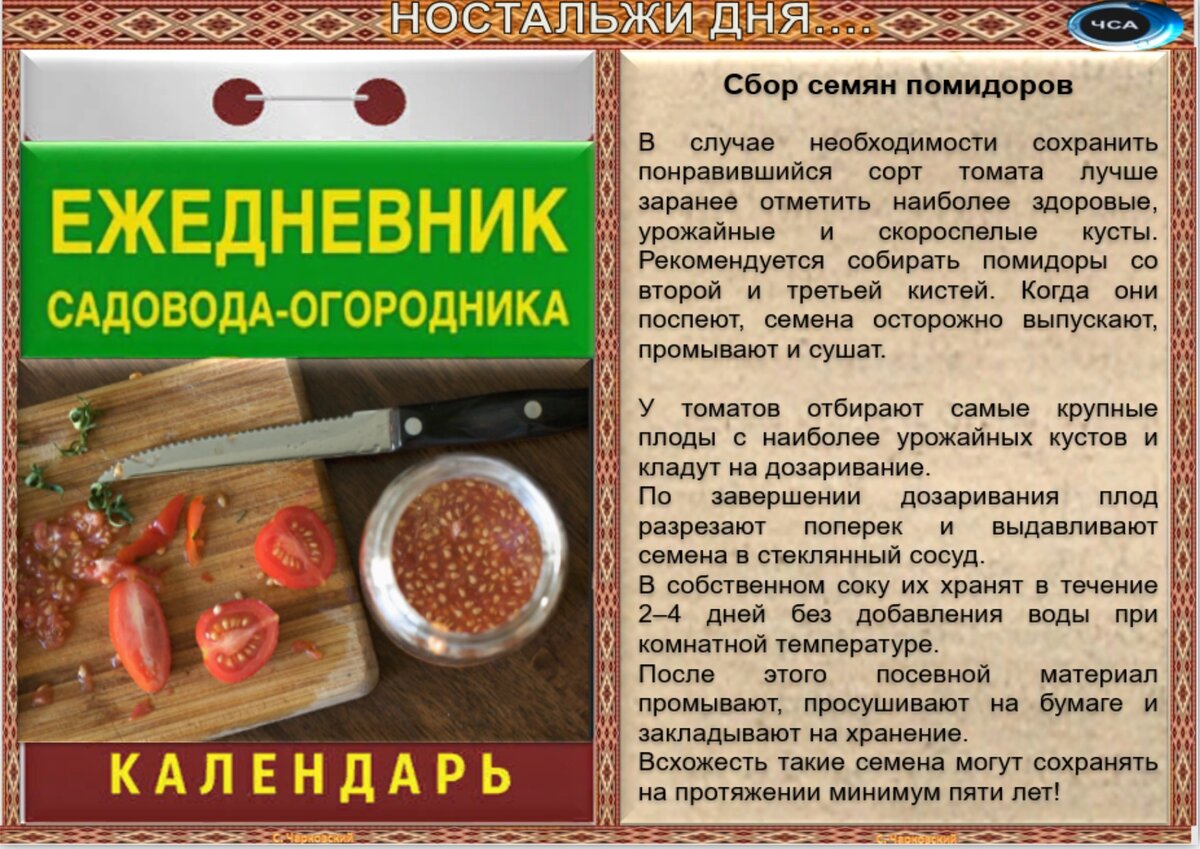 17 сентября - Приметы, обычаи и ритуалы, традиции и поверья дня. Все  праздники дня во всех календарях. | Сергей Чарковский Все праздники | Дзен