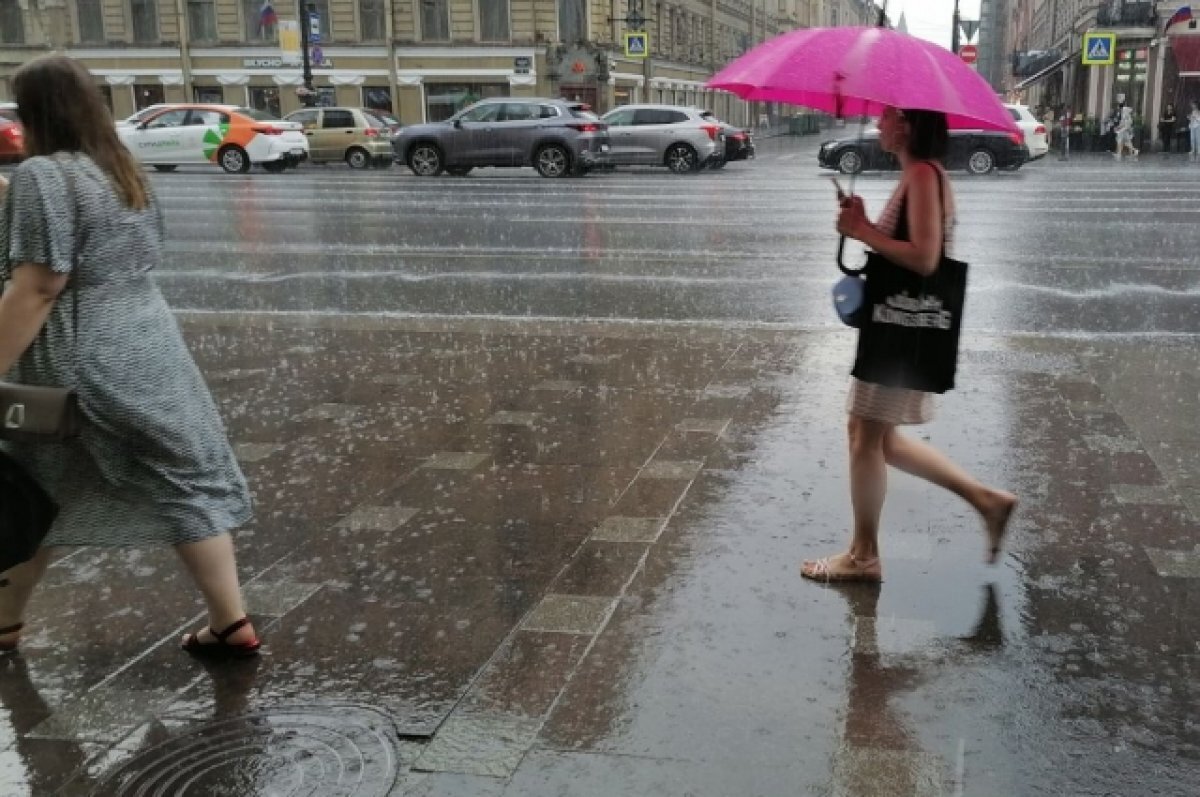    Дожди и грозы придут в Петербург 1 июля