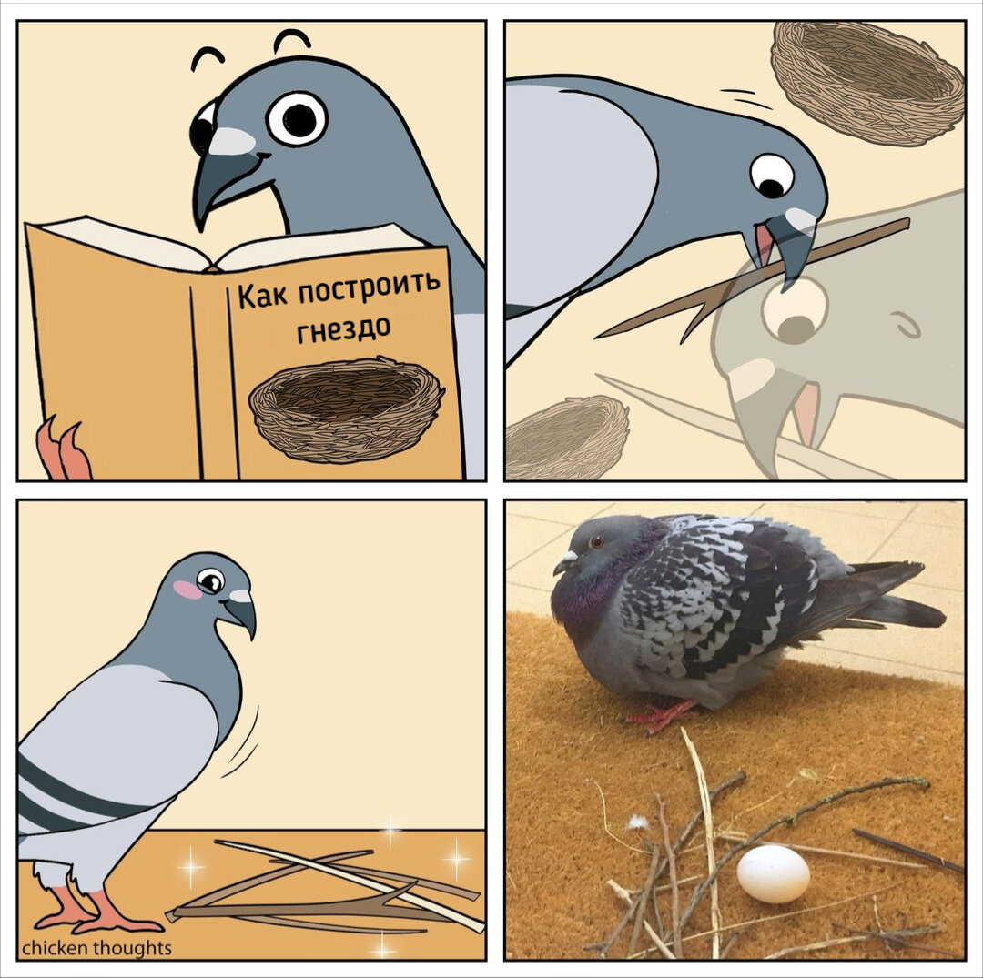 Мем из интернета. Исходник на английском, перевод мой