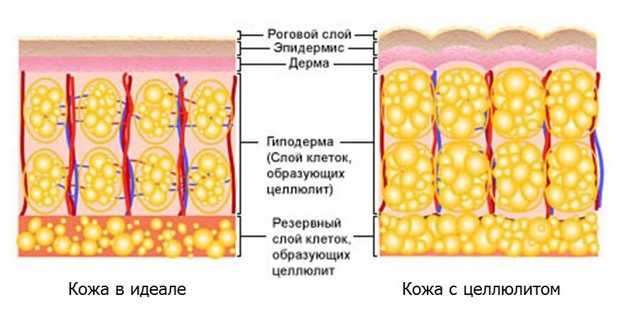 Куда уходит либидо и как его вернуть?