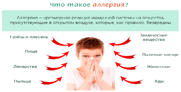Что такое аллергия?