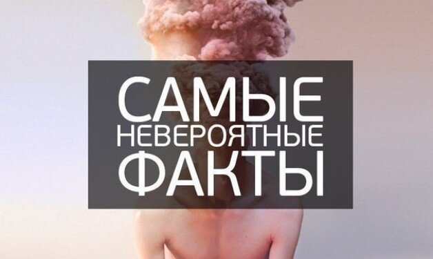 40 самых невероятных фактов