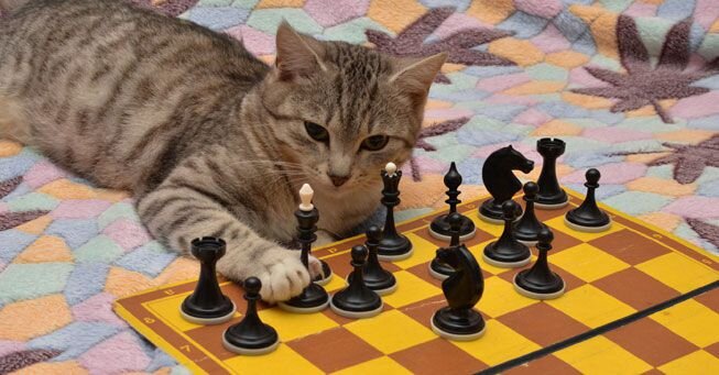 Источник: mnn.com