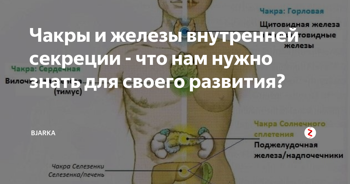 Шестая чакра. Чакры и органы эндокринной системы. Тимус анахата. Чакры фото. Чакры и гормональная система.
