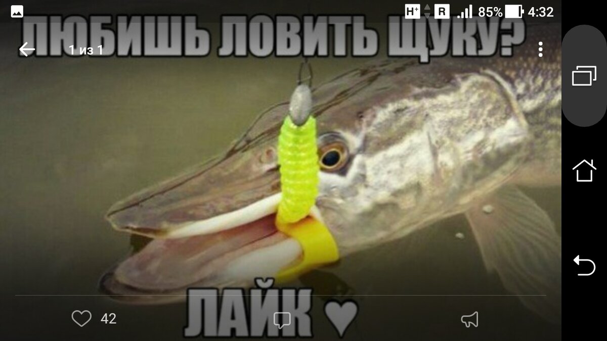 фото щуки