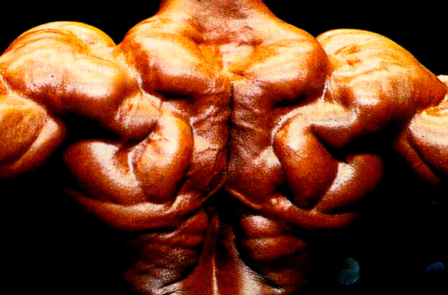 Flex Wheeler спина