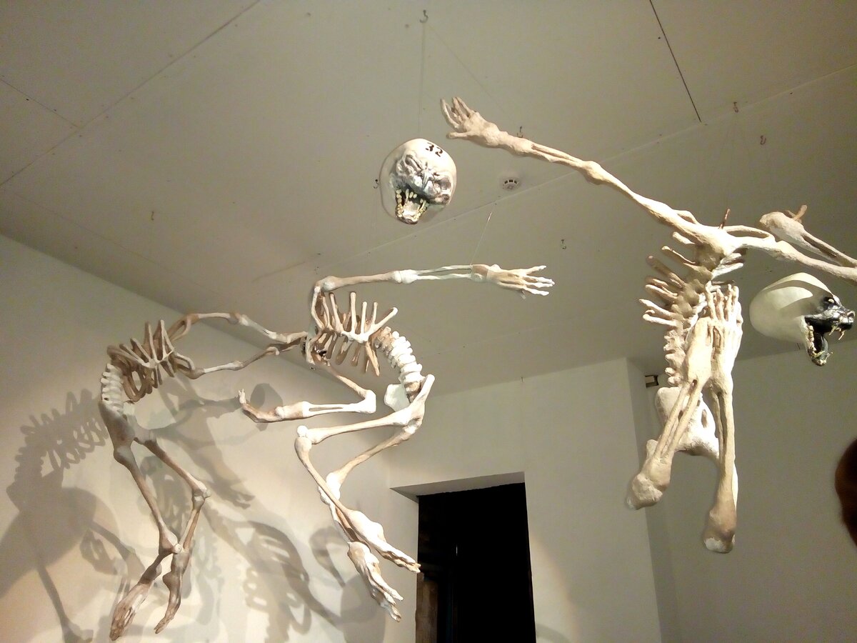 Твари души внутри, которым уже удалось себя частично отбелить.