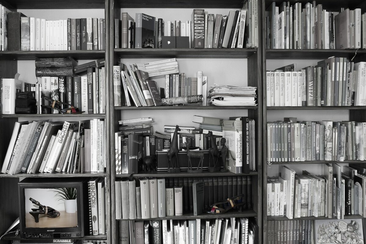 Книжные полки черно-белые