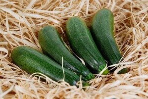 
Большое значение для хранения имеет сорт кабачка. Доказано, что долгое время неизменно остаются вкусными и качественными такие сорта кабачков: Желтоплодный, Аэронавт и оранжевый сорт Грушевидный. 
