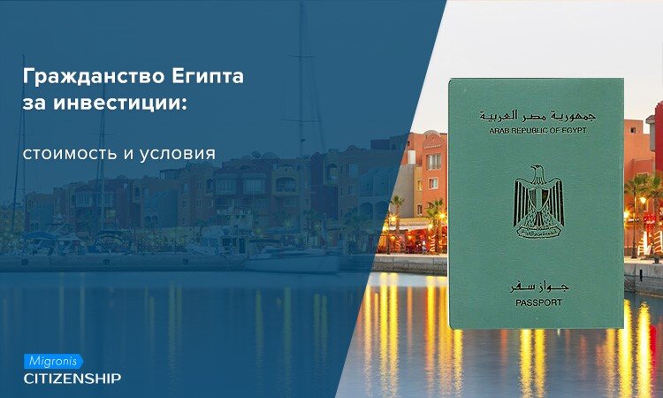 Обязанности, которые нужно соблюдать