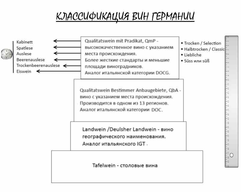 Классификация вин. Классификация вин Германии. Классификация вин Германии по сахару. Вина Германии классификация. Классификация немецких вин по качеству.