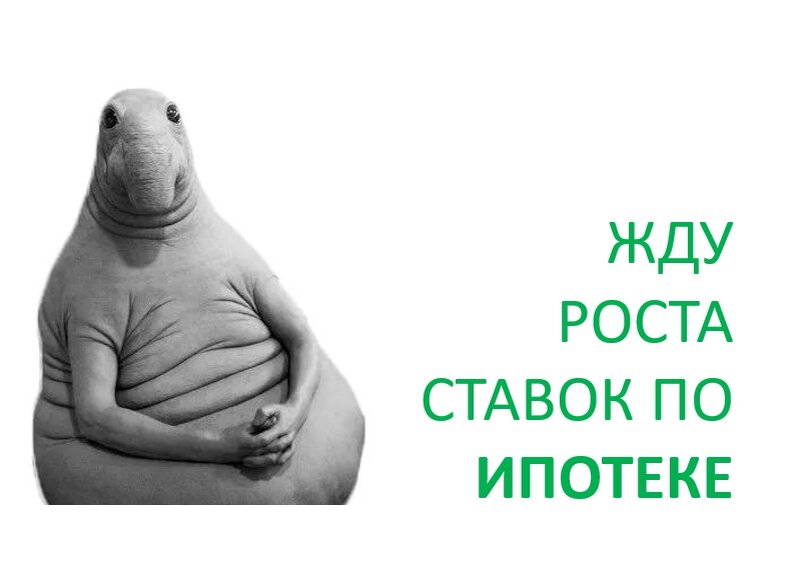 Ждун зарплаты картинки прикольные