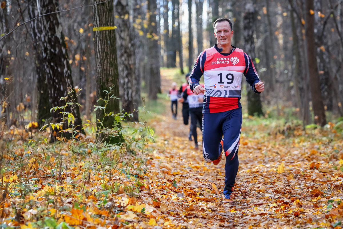 Андрей Арих