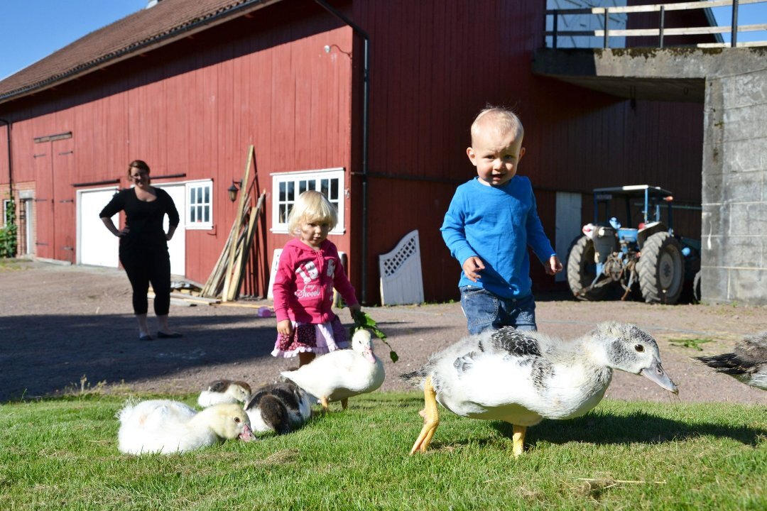 Foto: Inger Lene O. Steen.