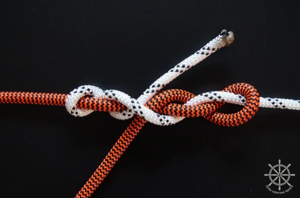 Как выглядит змеиный узел?