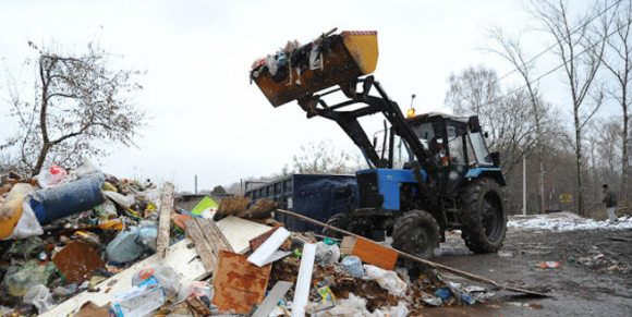 Фото с яндекс картинки