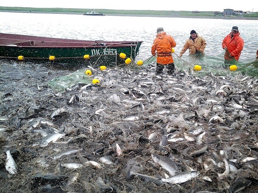 Погода усть большерецкий район