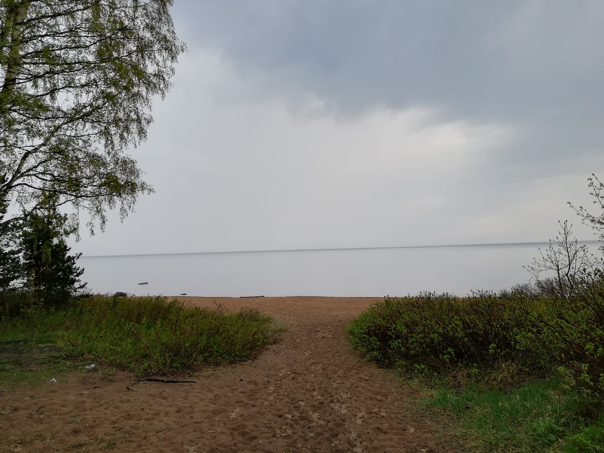 Финский залив. Дождь