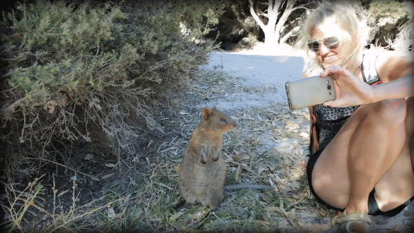 да смотрю я в камеру, смотрю! 