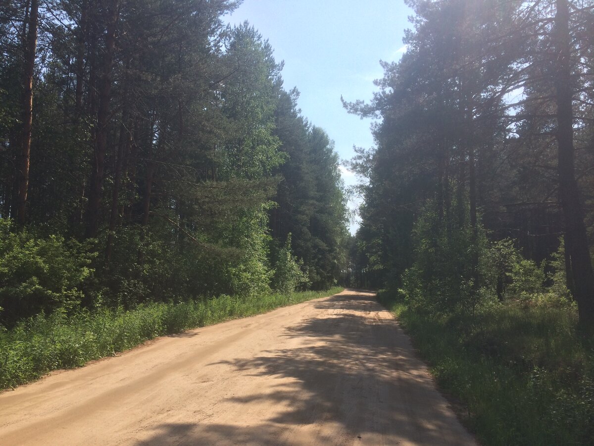 Та самая живописная грунтовка. Фото Александры Кудрявцевой.