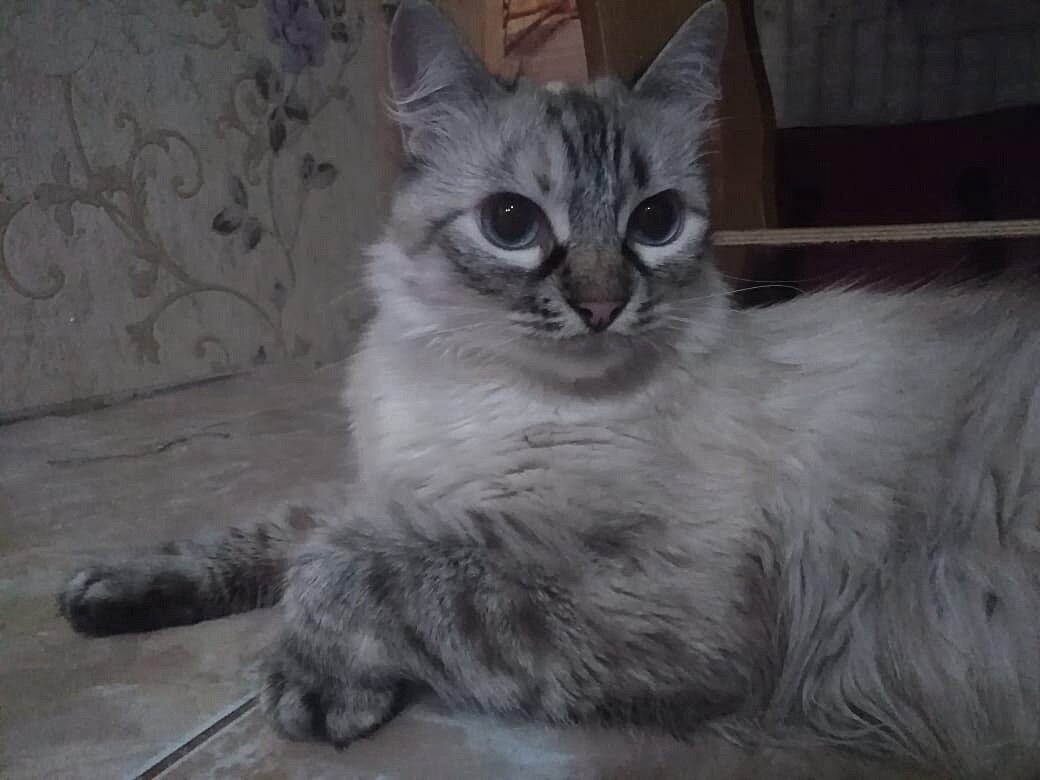 Я не сразу понял, что она напоминает маску)))