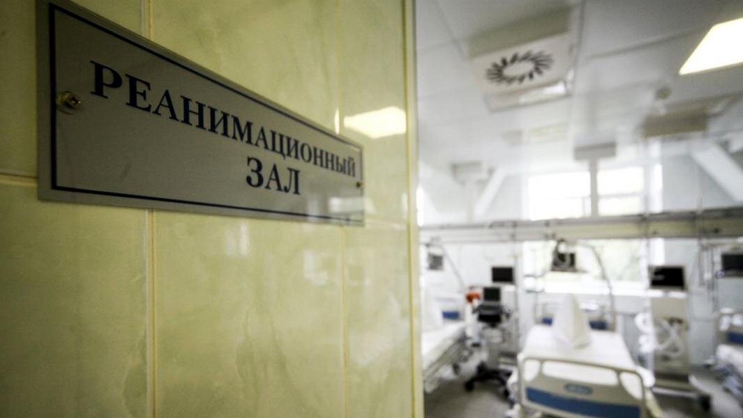 Фото: агентство городских новостей «Москва»/ Ведяшкин Сергей