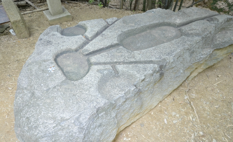 Фото с https://lah.ru/exped/park-asuka-2012/