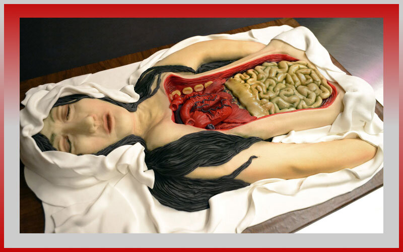 Вот такая вот съедобная анатомия