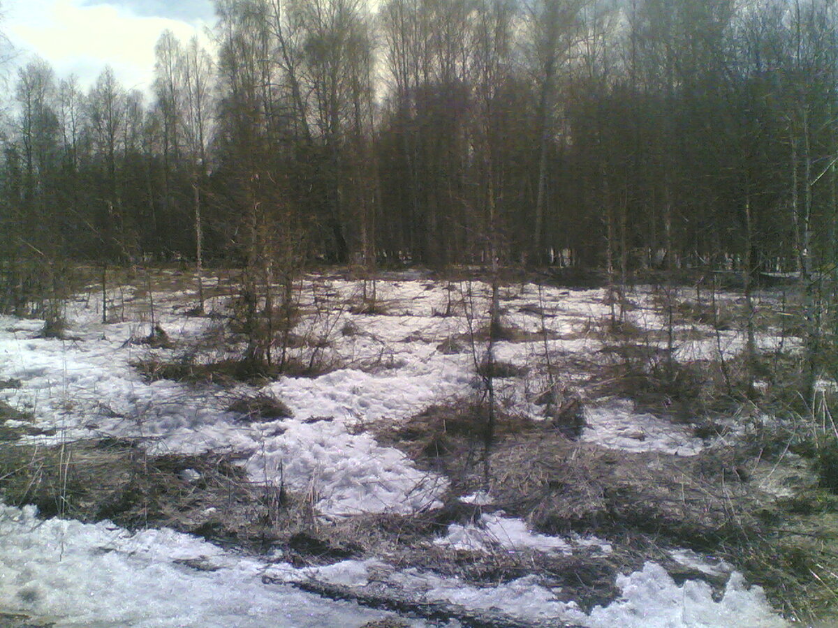 статья про косяки и фото тухлое, весна в сибири и это 9 мая