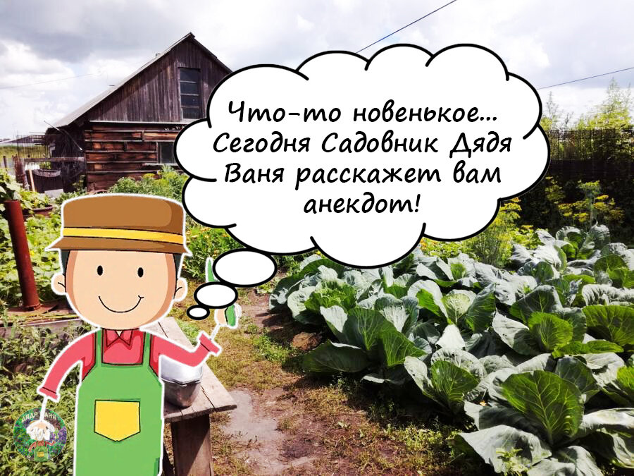 Персонаж дяди вани 6 букв. Садовник дядя Ваня. Деревня муравей дядя Ваня. Анектод фермеры окалохомщины и Канзанщины.