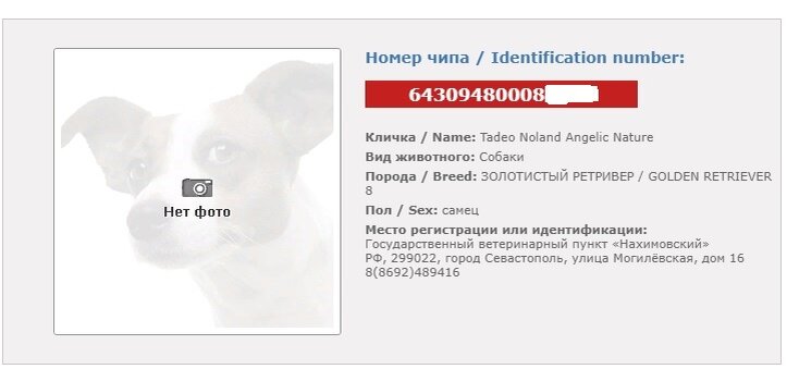 Как расшифровать чип с данными. Как расшифровать чип с данными. Оперативная память чип sec 210. Чип банковской карты. Чипы для банковских карт.