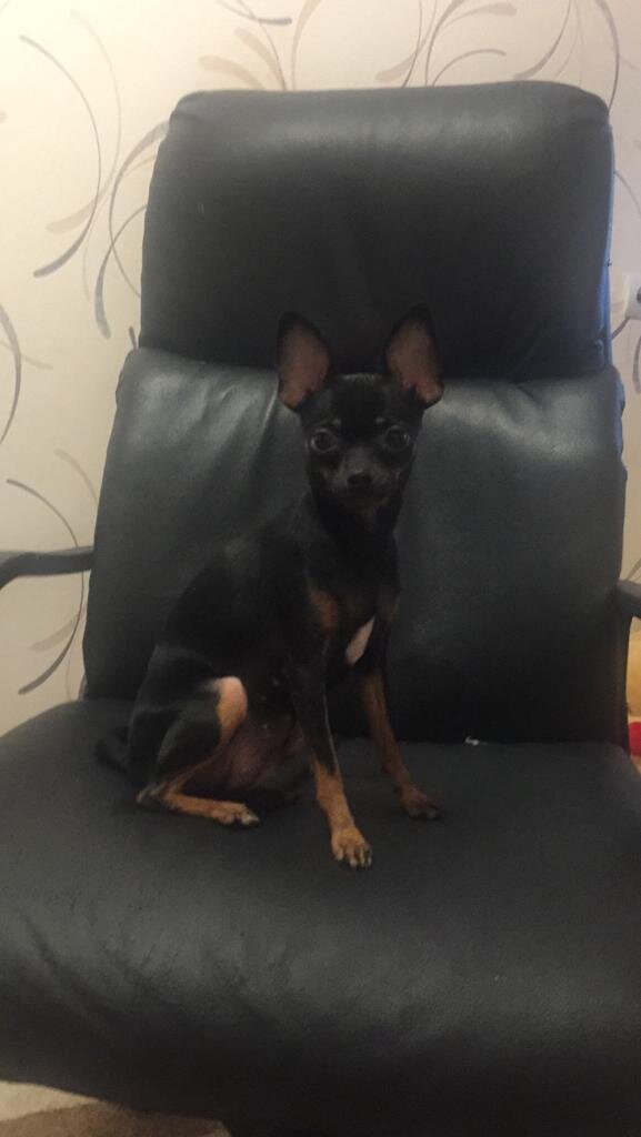 Наша девочка той