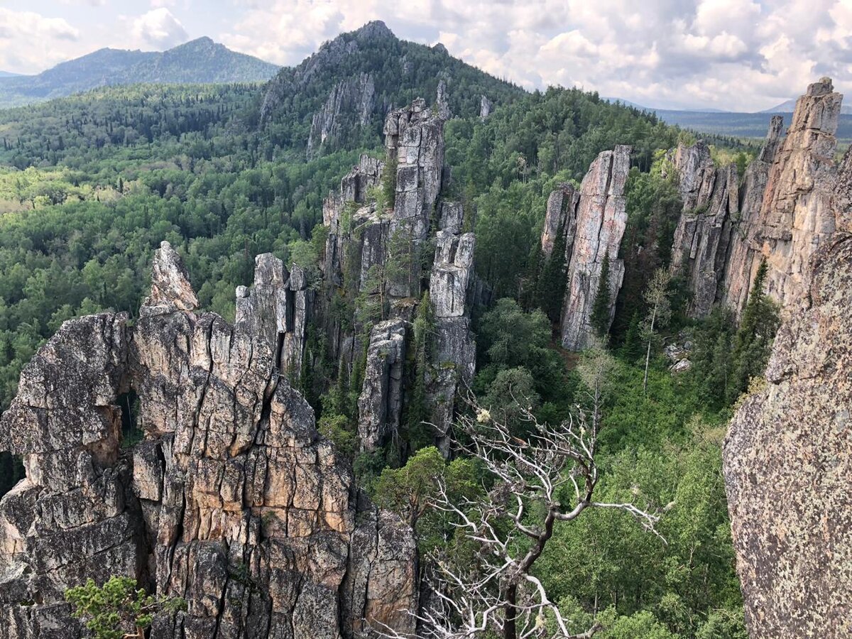 Максимальная высота Инзерских Зубчаток достигает 1161 метр. Хребет сложен кварцитами и кварцитопесчаниками зигальгинской свиты среднего рифея. Параллельно на западе тянется хребет Кумардак.

Хребет имеет протяженность 8 километров. Можно выделить три части, разделенные седловинами. Однако туристы обычно ограничиваются лишь северной - самой красивой и популярной - частью хребта. Дальше по хребту тропа постепенно исчезает. Пройти вдоль гребня Зубчаток, усыпанного многочисленными скалами, очень непросто из-за курумников и поваленных деревьев.

На скалах Инзерских Зубчаток

С некоторых точек хорошо видна гора Ямантау (1640 м) – высшая точка Южного Урала. В начале лета ее склоны еще покрыты снегом. Попасть к ней легально невозможно – вокруг Южно-Уральский заповедник, а в недрах горы военный объект. Остается лишь смотреть издалека. В другой стороне видна куда более доступная гора Иремель.

У башкир Ямантау издавна считалась «плохой» горой, а Иремель – «хорошей», священной. Инзерские Зубчатки находятся как бы между ними, словно разделяя добро и зло. 

Гора Ямантау

Самая красивая часть хребта – скальный цирк. Скалы причудливых форм в виде зубцов раскинулись здесь по кругу. Высота скал достигает 35 метров. Некоторые скальные образования выглядят настолько причудливо, что у некоторых туристов невольно возникают мысли, не человеческих ли это рук. Место удивительной красоты! По внешнему виду напоминают места из фильма «Аватар» в миниатюре.

GPS-координаты: N 54º16.244´; E 58º22.447´.

На некоторые скалы можно залезть без снаряжения, проявляя лишь некоторую ловкость, а на некоторые навешаны веревки. Подъем небезопасен. Нужно проявлять максимальную осторожность.

Инзерские Зубчатки Скалы Инзерских Зубчаток

Севернее цирка есть скала Смотровая площадка (N 54º16.404´; E 58º22.390´). С нее открывается хороший вид на запад и на скальный гребень Зубчаток.

Особенно красиво на Зубчатках осенью, когда деревья покрываются желтой листвой. В последнее время Инзерские Зубчатки становятся все популярнее среди туристов.

Путь к Зубчаткам идет через кордон Миселя. Отсюда открывается красивый вид на хребет Инзерские Зубчатки. На обширной поляне раньше стояло два десятка домов. Сейчас остался только один жилой дом. Жители занимались лесозаготовками.

Здесь предстоит перейти вброд реку Миселя. Вода в ней холодная, родниковая. Чуть выше брода осталась дамба пруда, виден сруб размытой плотины.

Вид на Инзерские Зубчатки от кордона Миселя

В прошлом в окрестностях скрывались от преследований со стороны властей и официальной церкви старообрядцы. Сейчас о тех временах напоминают лишь сохранившиеся названия: Ближние Кельи, Дальние Кельи, Малашихины Кельи.

В окрестностях поселка Тирлянского расположено богатое месторождение горного хрусталя – Матинское.

 Цирк Инзерских Зубчаток

Как добраться до Инзерских Зубчаток?
Чтобы побывать в этом удивительном месте, сначала нужно доехать до города Белорецк в республике Башкортостан. Затем – до поселка Тирлянский (35 километров). С северо-западной окраины поселка начинается грунтовая дорога в сторону Инзерских Зубчаток (в эту дорогу переходит Первомайский переулок). Расстояние от Тирлянского до Инзерских Зубчаток составляет 17 километров. На машинах (кроме внедорожников) здесь не проехать. Дорога сильно разбита лесовозами. Пешком в сухую погоду путь достаточно легко проходится, лишь местами встречаются сырые и грязные участки. Также нужно быть готовым переходить реку вброд (в межень уровень воды не выше сапогов).

После реки Тирлян (справа от брода есть мост) на развилке нужно будет повернуть налево. Вид на хребет Инзерские Зубчатки открывается еще за несколько километров до них. После кордона Миселя за вырубкой нужно будет повернуть налево (на дереве рядом есть метки для туристов) – на прямую дорогу в сторону горы (N 54º16.078´; E 58º24.874´). Через несколько километров перед выходом на дорогу, с которой вы свернули, справа будет родник с водой белесого цвета (N 54º16.490´; E 58º23.954´). Еще через километр в гору будет родник слева от дороги. Именно им лучше пользоваться. Вода в этом роднике чистая и вкусная. GPS-координаты родника на Инзерских Зубчатках: N 54º16.549´; E 58º23.121´.

От этого родника до скал остается примерно километр.

Кому не хочется идти пешком, могут заказать заброску у местного жителя: 8-961-040-33-52 (Василий).

© Павел Распопов

UraloVed.ru

Смотрите также:

Поселок Тирлянский (Тирлян)

Видео Южный Урал

Инзерские Зубчатки (11-13.06.2016)

Инзерские Зубчатки с высоты


Трек маршрута пос. Тирлянский - Инзерские Зубчатки
Инзерские Зубчатки на карте:
 Условия
3 км
 Пожертвовать 100 рублей «Ураловеду»

 
Поделитесь с друзьями!
Комментарии   
Марат
# Марат 08.09.2017 09:45
координаты точные? я их конвертировал и показывают совсем другое положение
Ответить | Ответить с цитатой | Цитировать | Сообщить модератору
Павел Распопов
# Павел Распопов 08.09.2017 10:13
Марат, все координаты на сайте точные. Обращайте внимание на формат координат.
Ответить | Ответить с цитатой | Цитировать | Сообщить модератору
Обновить список комментариев
RSS лента комментариев этой записи
Добавить комментарий

 
JComments

 
Что ещё почитать
Топ-лист самых красивых мест Урала по версии "Ураловеда" - 2014
Топ-лист самых красивых мест Урала по версии "Ураловеда" -…
 Водопад Куперля
Водопад Куперля
Уральское Бали - живописный карьер близ Кыштыма
Уральское Бали - живописный карьер близ Кыштыма
Водопад Атыш
Водопад Атыш

 
Поселок Тирлянский (Тирлян)
Поселок Тирлянский (Тирлян)
Сводит ногу по ночам неспроста. Причина ужасна
Сводит ногу по ночам неспроста. Причина ужасна
Реклама
 Жигаланские водопады (Жигалан)
Жигаланские водопады (Жигалан)
Кто убил Михаила Евдокимова: правда всплыла внезапно
Кто убил Михаила Евдокимова: правда всплыла внезапно
Реклама
 Река Ай: особенности, история и путеводитель по реке
Река Ай: особенности, история и путеводитель по реке Relap

Книги-путеводители проекта Ураловед


101 Отель - бронирование гостиниц Урала

Интернет-магазин Шайтанские ножи

Карта достопримечательностей Урала

Как остаться на связи
Наши страницы и сообщества в социальных сетях и сервисах.



Вариант — рассылка по электронной почте.

Ваш адрес электронной почты
В начало страницы
Права на опубликованные материалы, а также на отдельные элементы оформления сайта принадлежат их авторам © 2011–2019

При любом использовании опубликованной информации требуется указывать активную гиперссылку на сайт проекта «Ураловед», открытую для индексирования поисковыми системами. Использование материалов сайта в коммерческих целях без письменного разрешения авторов запрещается. 

Политика конфиденциальности

Основатель и руководитель «Ураловеда» — Павел Распопов. Электронная почта проекта: uraloved@mail.ru.

«Ураловед» развивается при поддержке неравнодушных и заинтересованных участников и благотворителей.

Заметили ошибку? Выделите текст мышью и нажмите Ctrl Enter.

