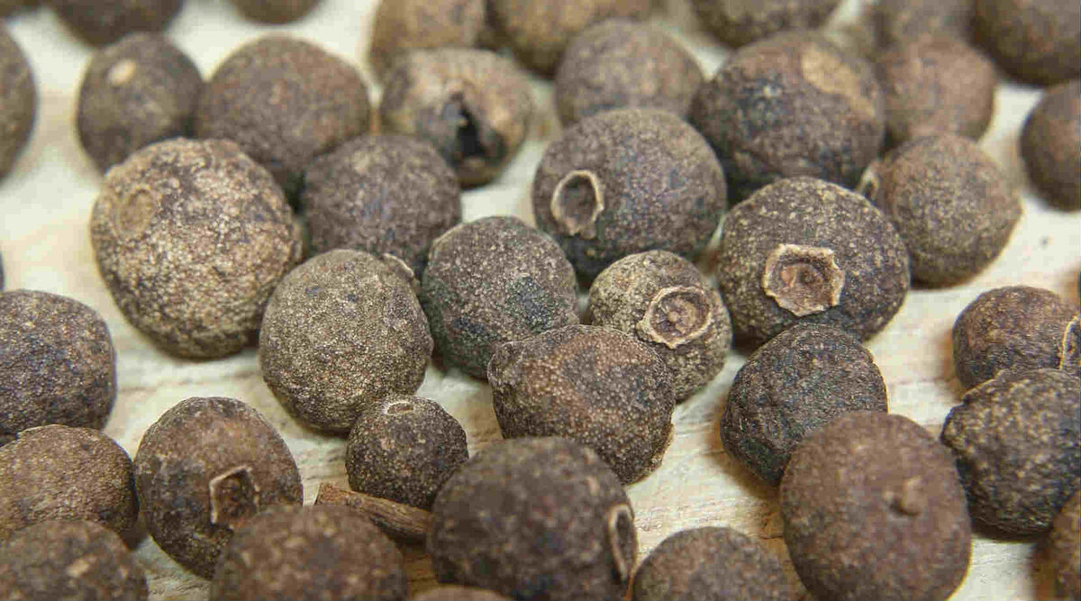 Allspice