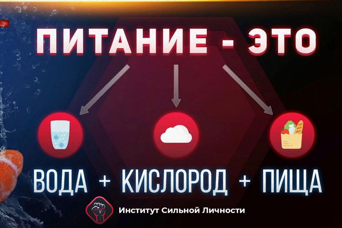 Фото взято из открытых источников