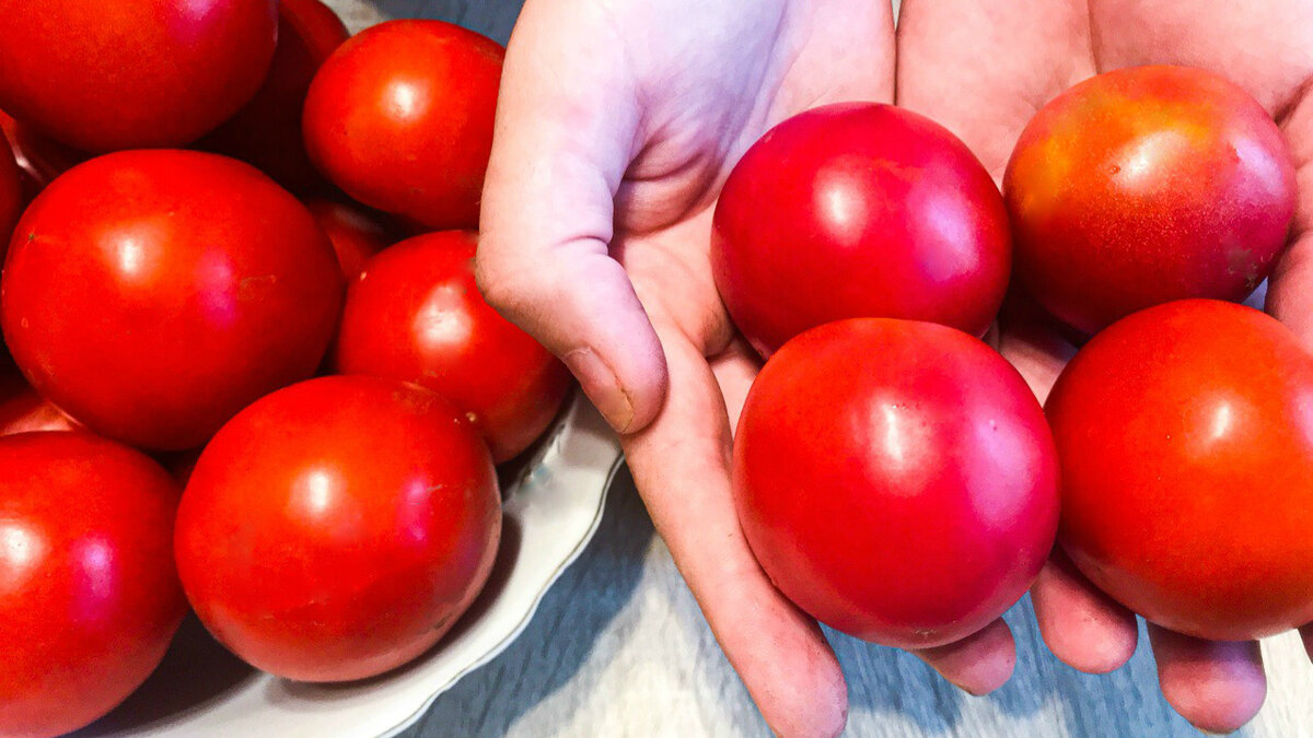 Помидор круглый. Замороженные помидоры. Круглые помидоры с гранями. Помидоры не круглые.