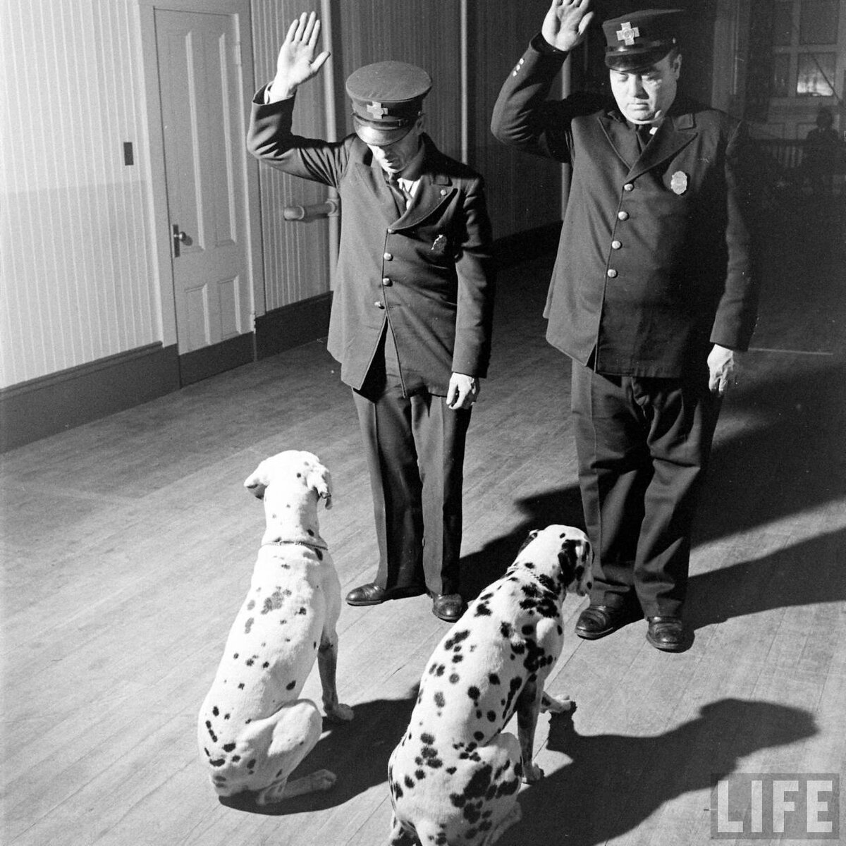 Фото из интернета