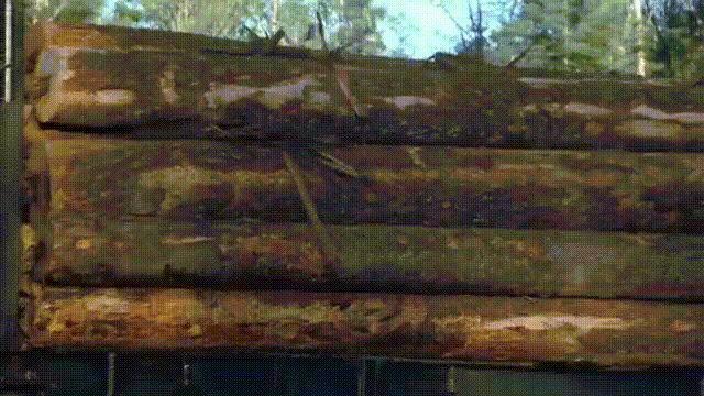 Кадры из фильма