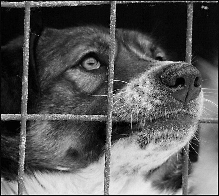 Фото с сайта https://www.liveinternet.ru