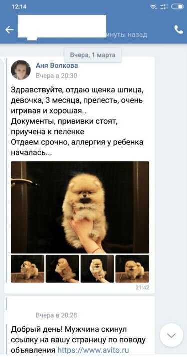 Переписка с мошенником по продаже щенка