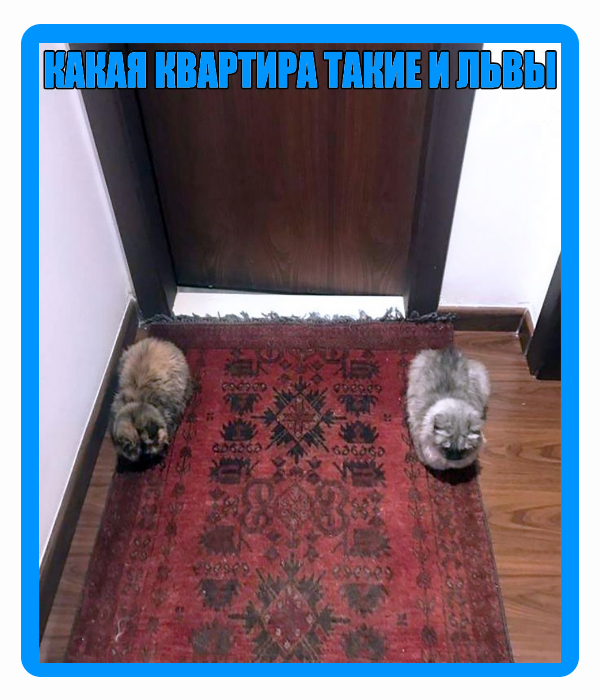 Оформление от «memdzen»