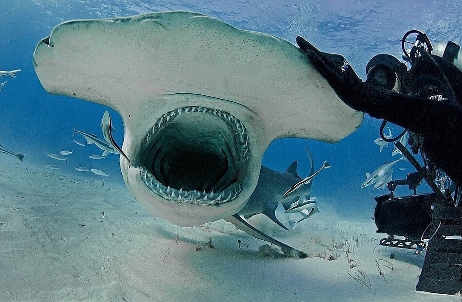 Источник фото: Google foto