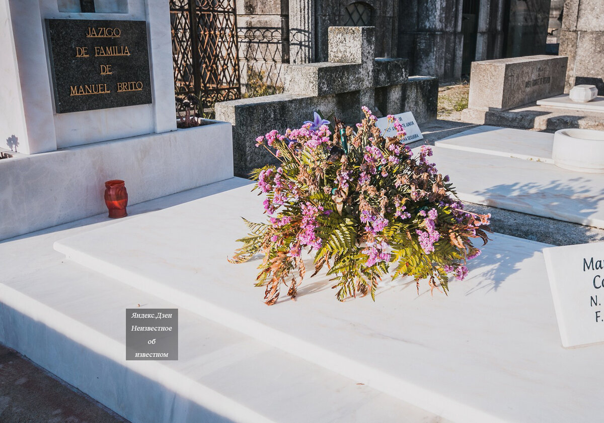 Трипофоб мог бы и испугаться: восьмигранники с дырками на кладбище в Порту