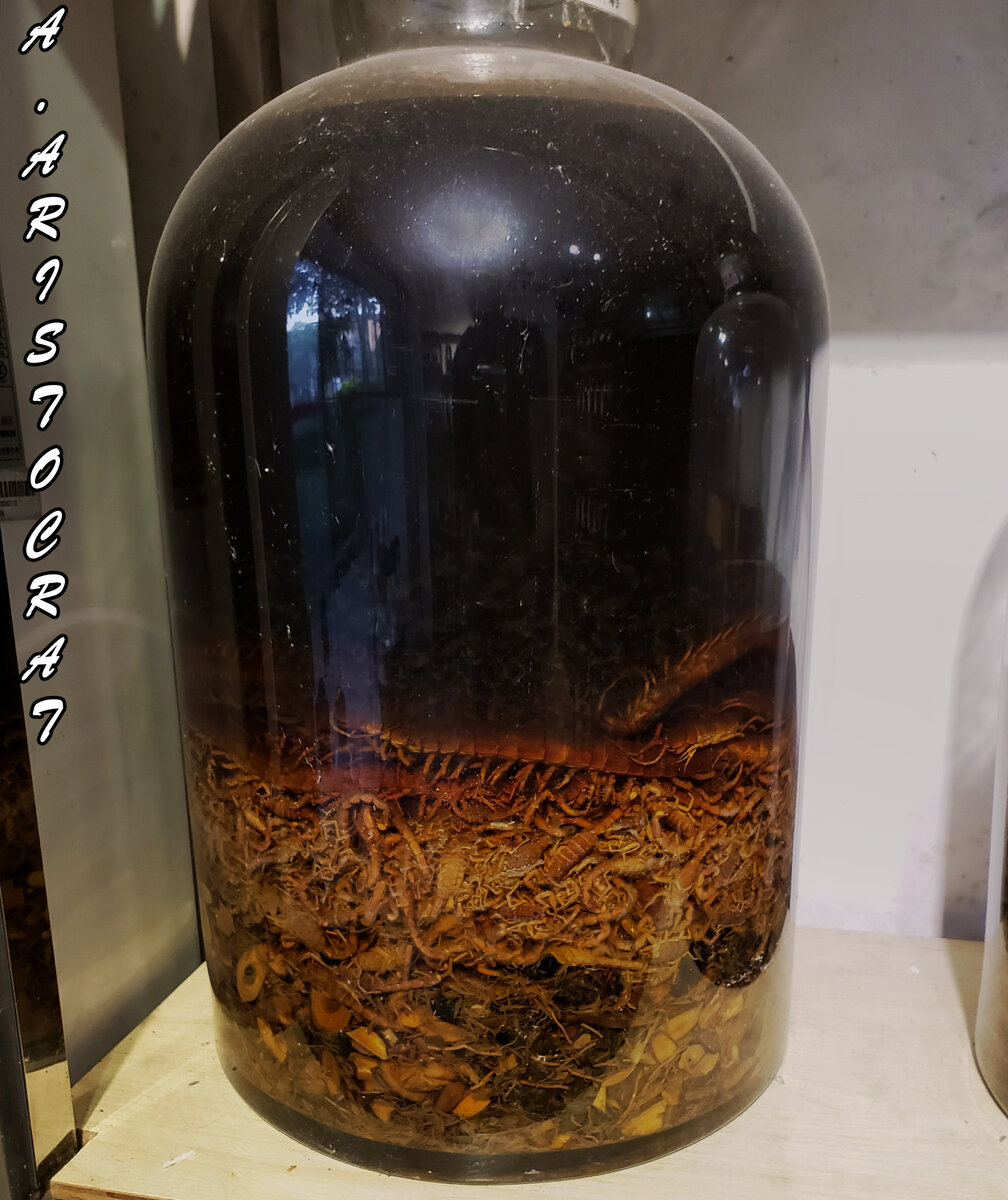 Традиционные настойки