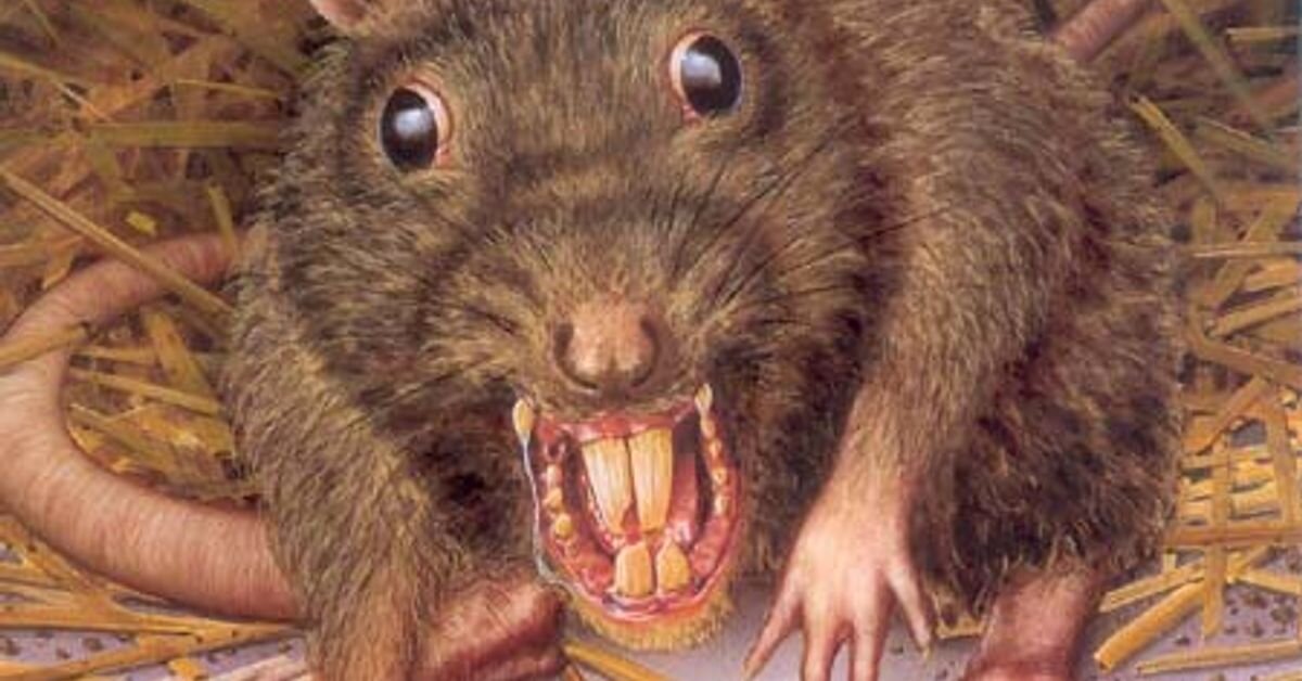 фото взято в качестве примера из свободного доступа "ЯндексКартинки"