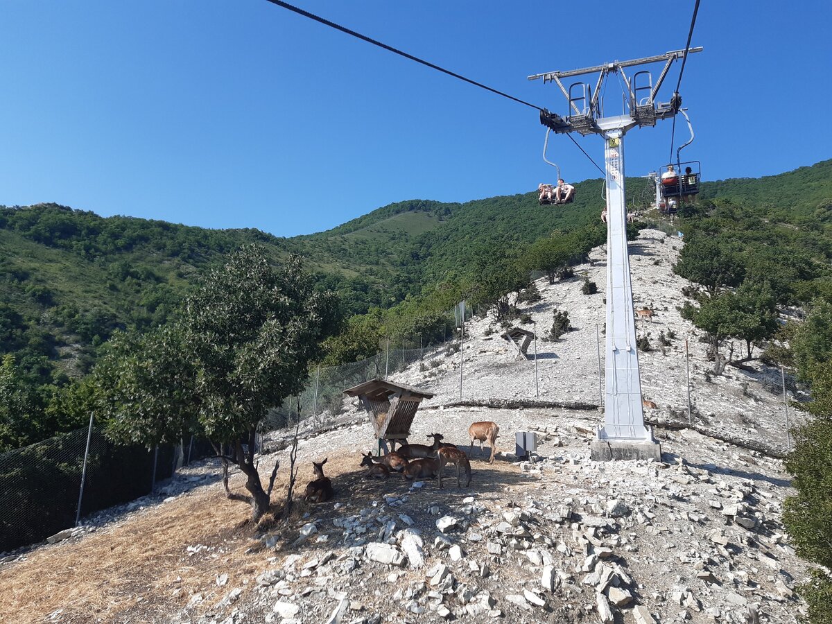 Сафари-парк Геленджик канатная дорога. Гора Олимп Геленджик. Канатка в Геленджике. Канатная дорога Олимп.