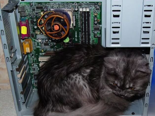 Ну не такая большая, но вот  кто поменьше, может зайти погреться.