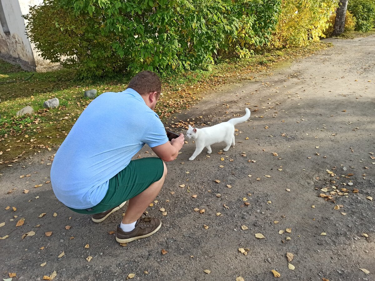 Очень дружелюбная кошка.