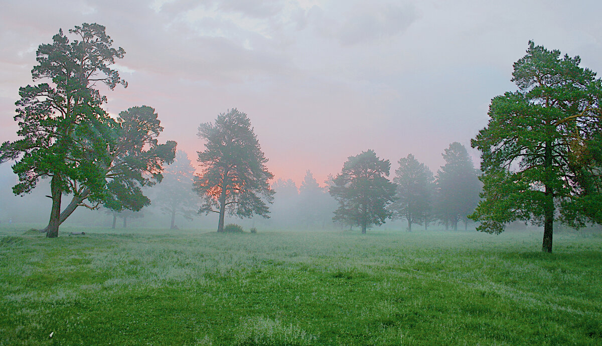 Фотография, стихотворение Василия Глуцкого 