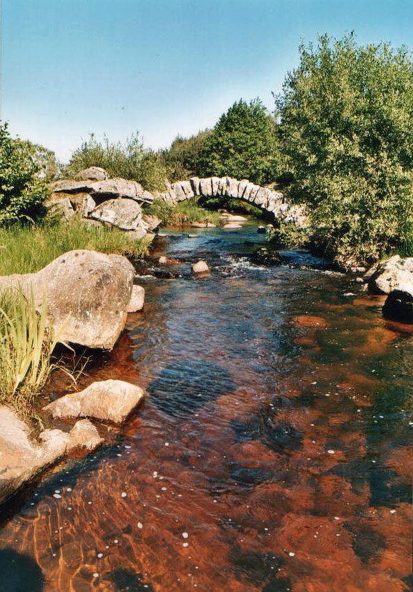 Очень чистая речка!